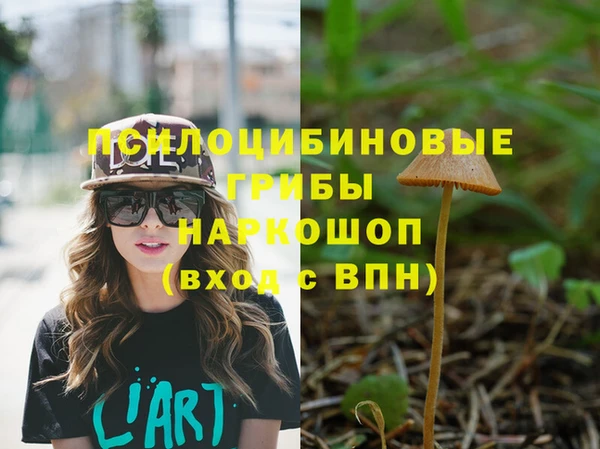 не бодяженный Абаза