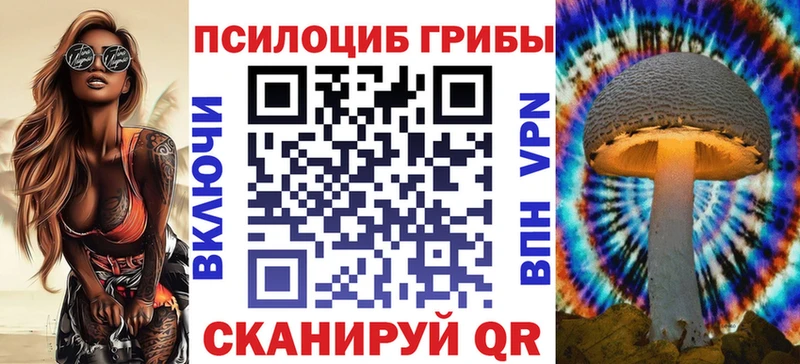 купить  цена  Краснозаводск  Псилоцибиновые грибы GOLDEN TEACHER 
